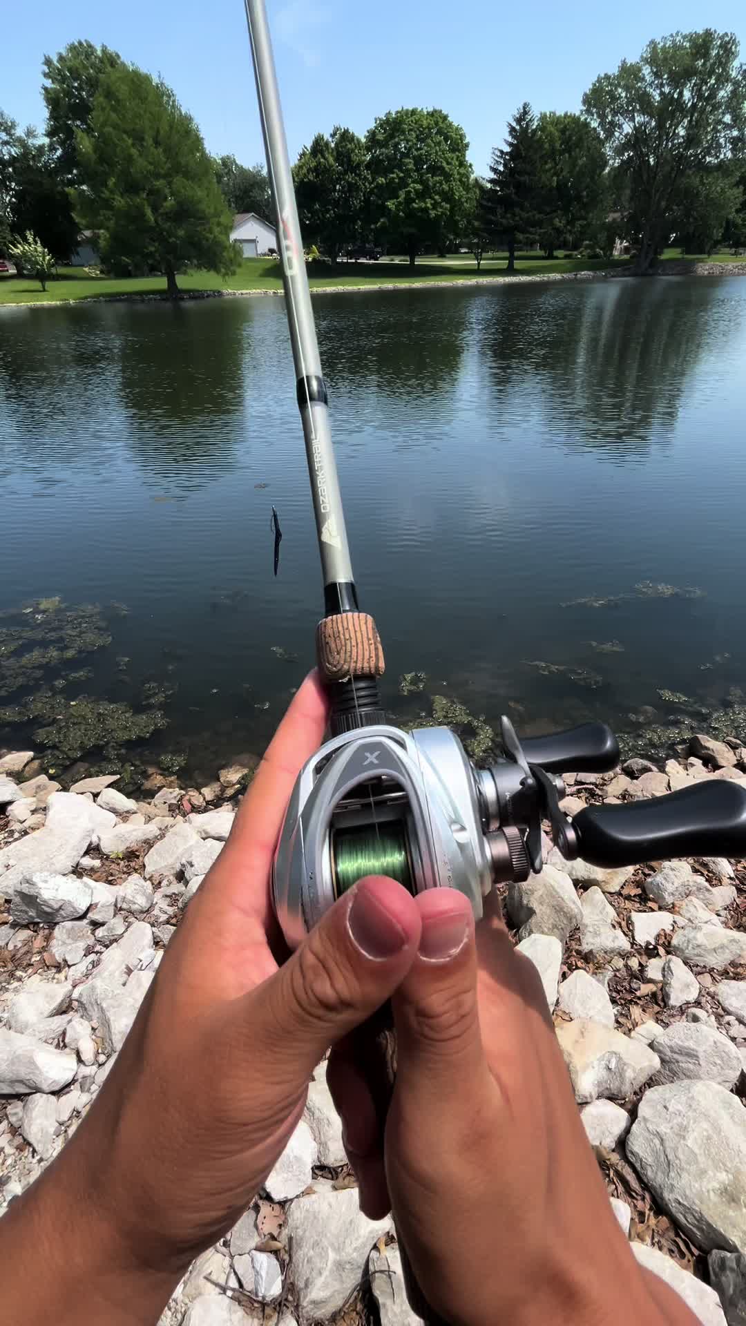 @Fish O’clock