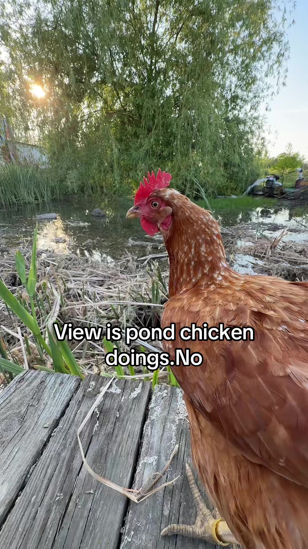 @No