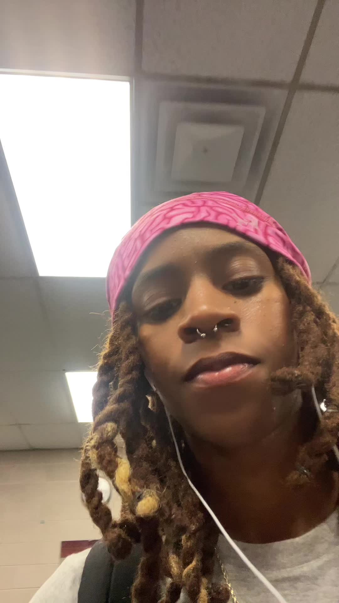 @🦈