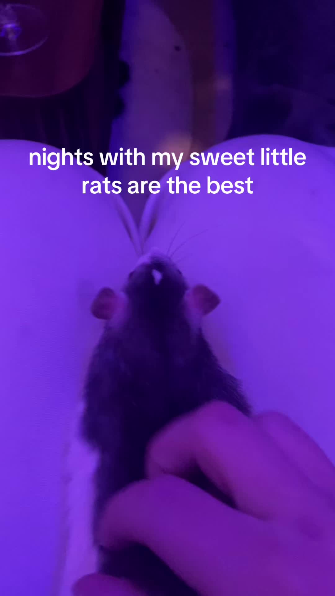 @Zo&euml;