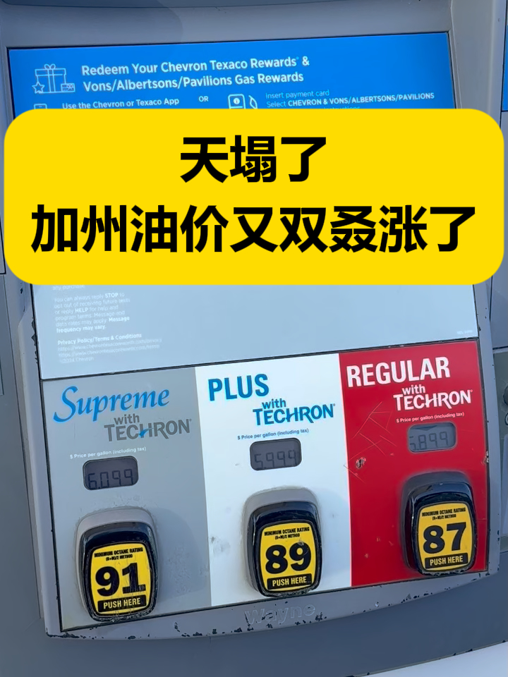 @凤凰美洲