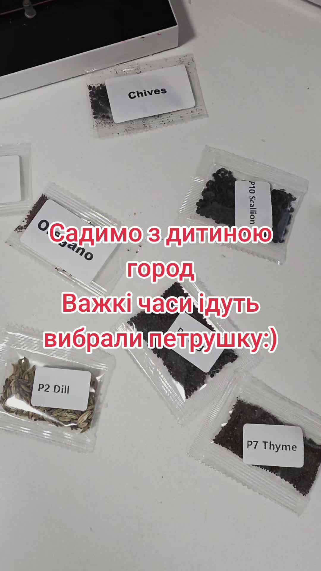 @😎Розпиздяй на фурі😎