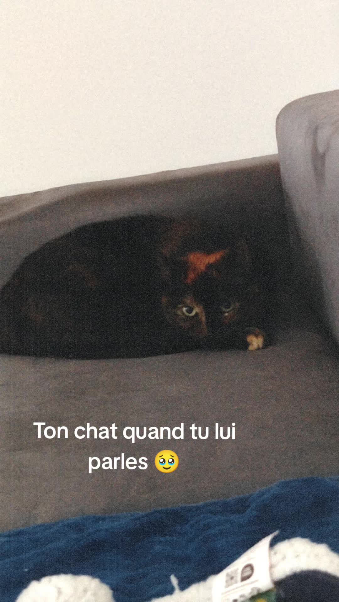 @AhlFa