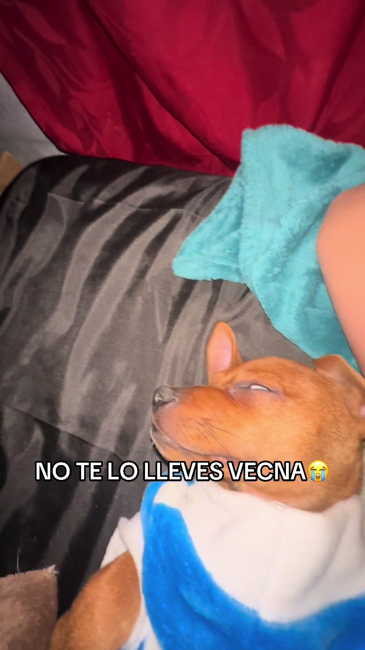 @Jaiime Alba