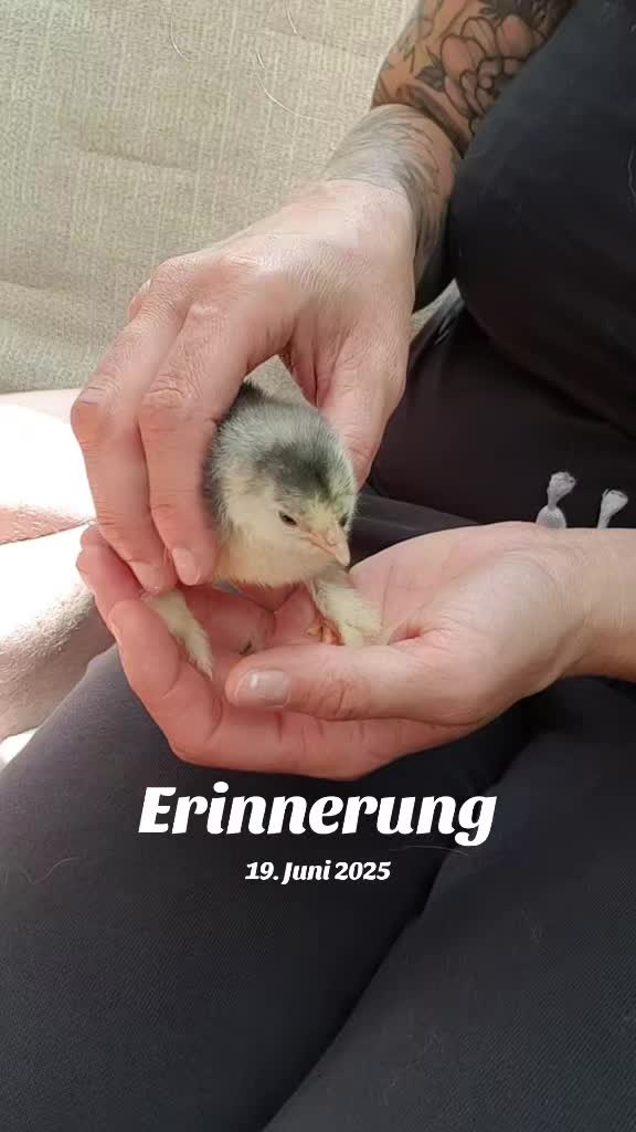 @DieSelbstvOrsorger