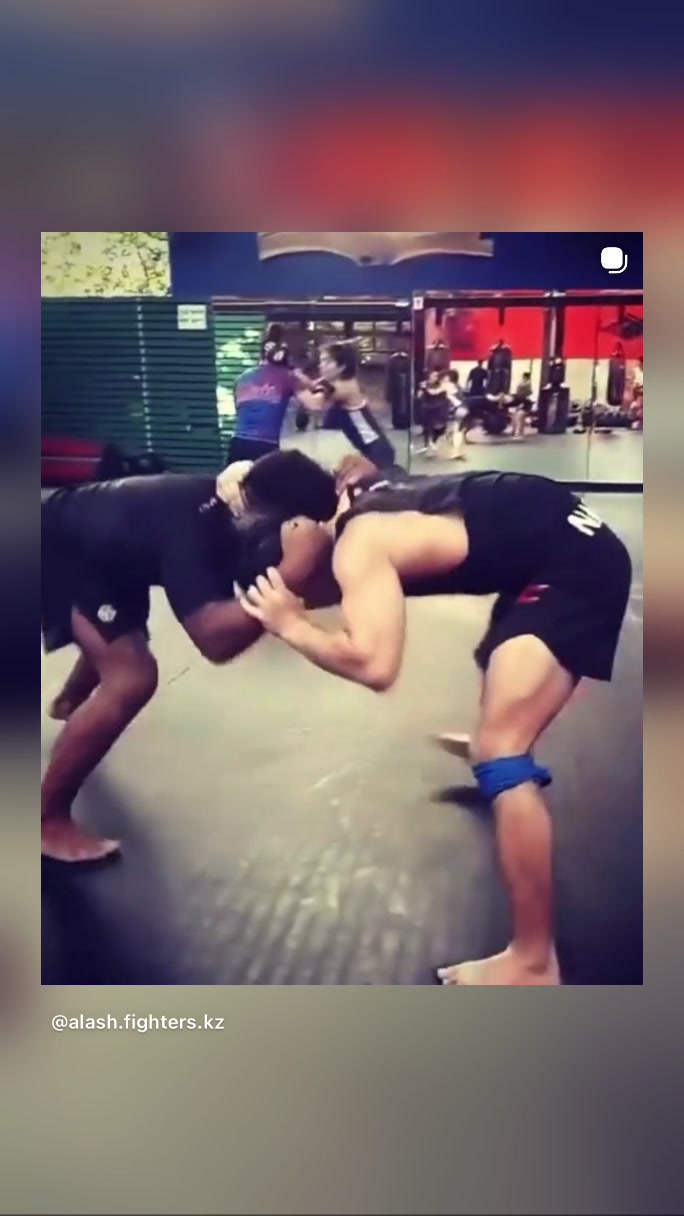 @alash.fighters.kz