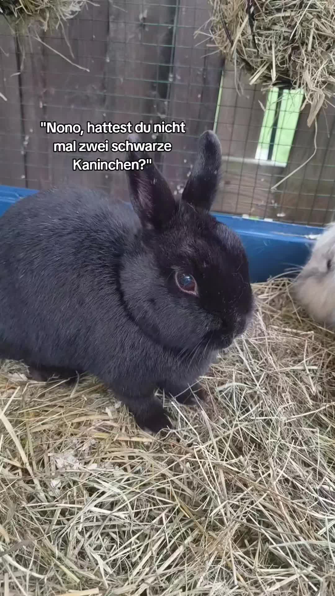 @𝙽𝚘𝚗𝚘❤︎