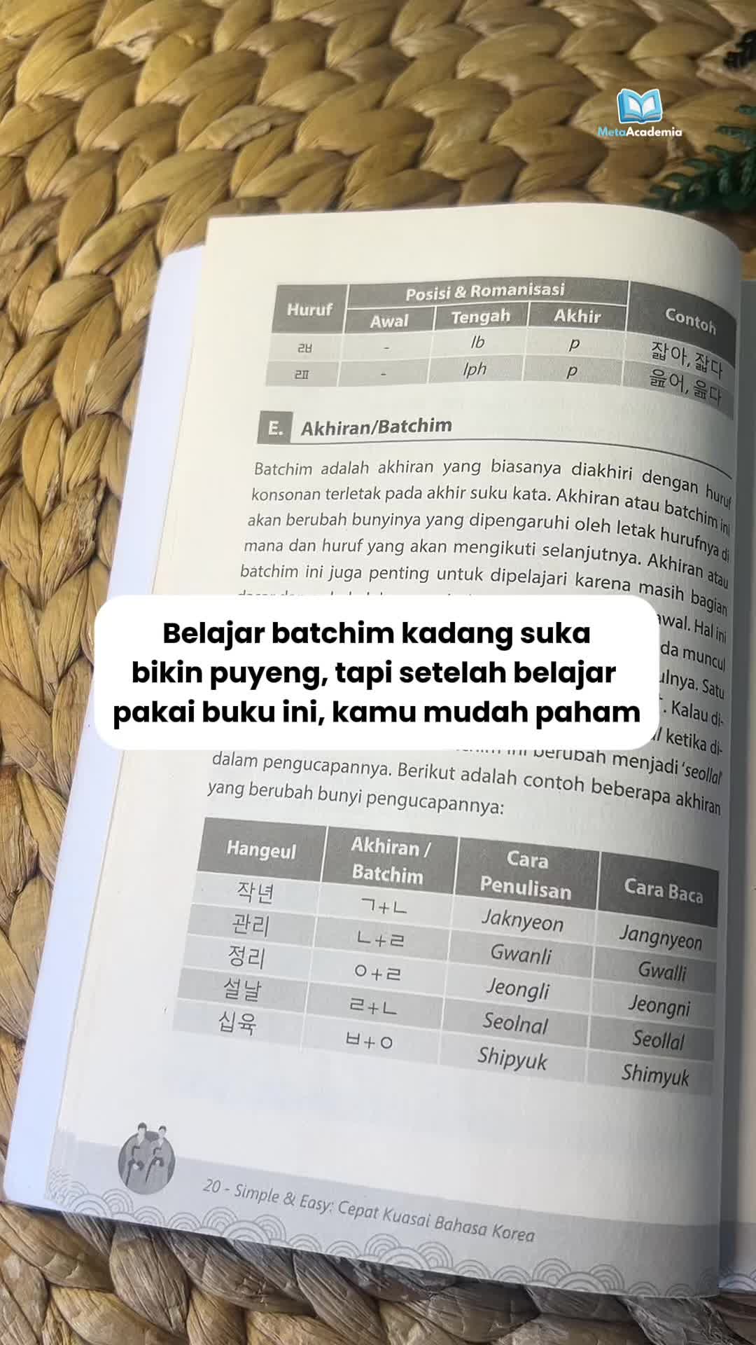 @Meta Academia