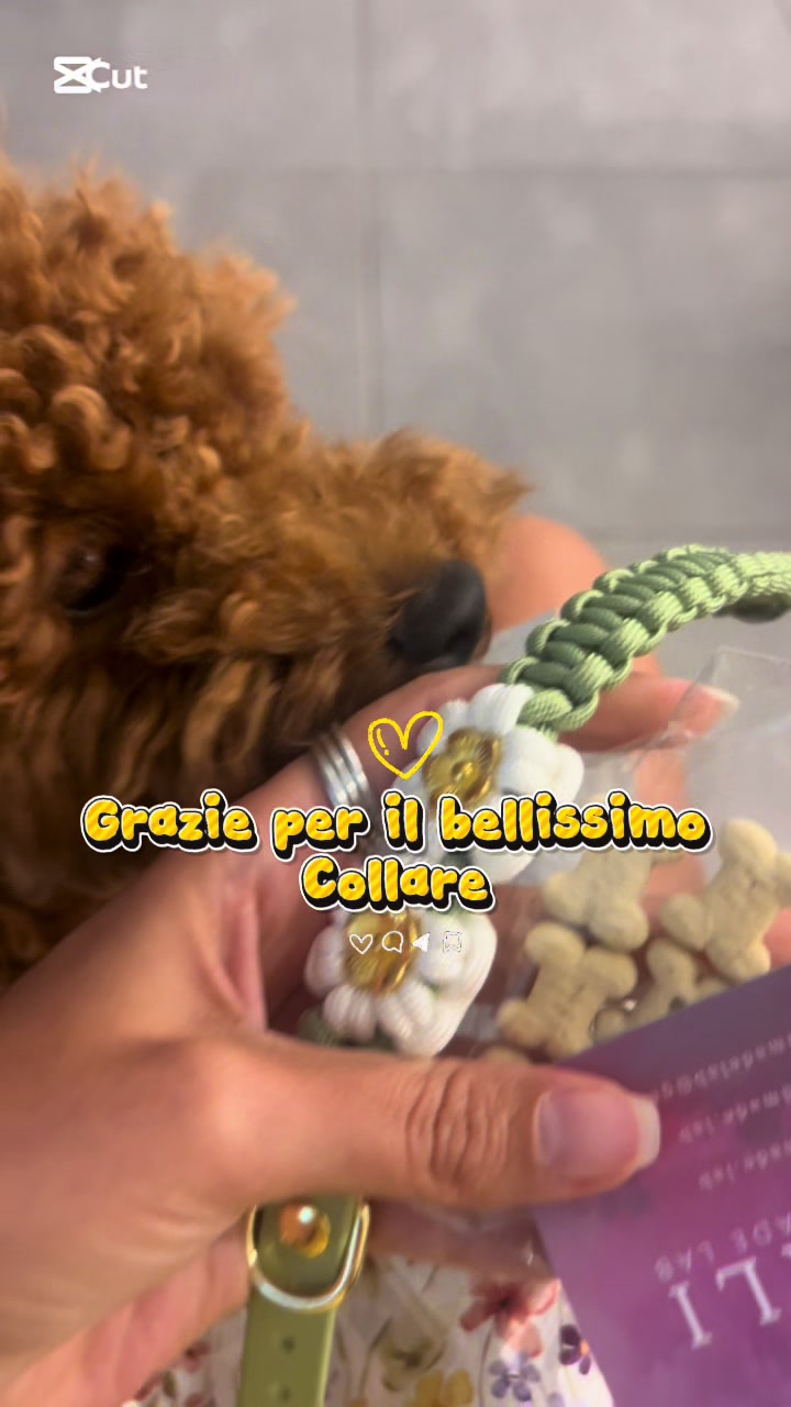 @Chiara e Rey 🐶🤎