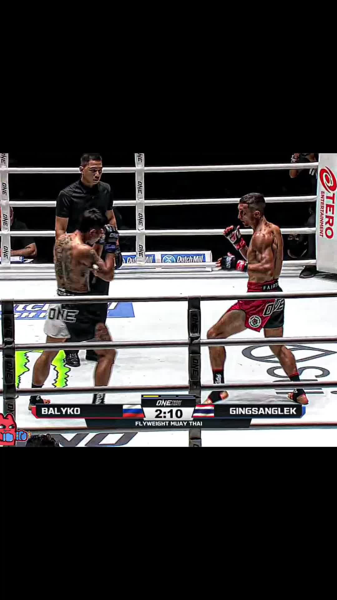 @boxer_tk