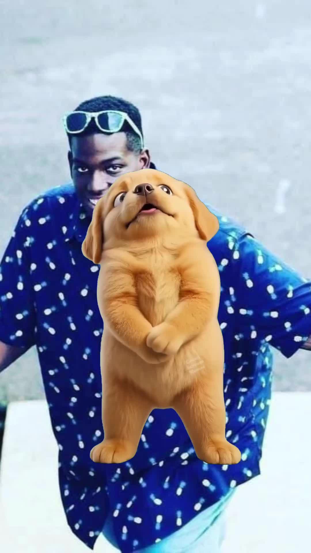 @max341989