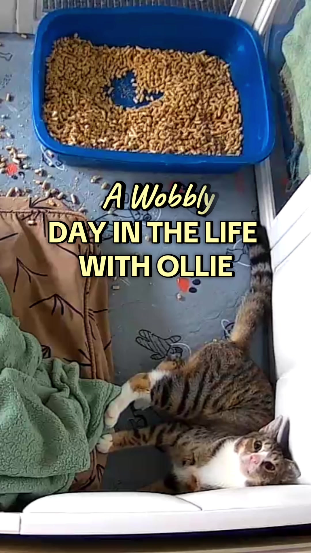 @Ollie Wobbles