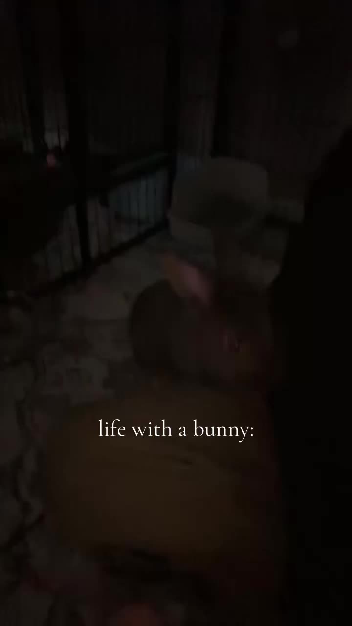 @bunbun & binky