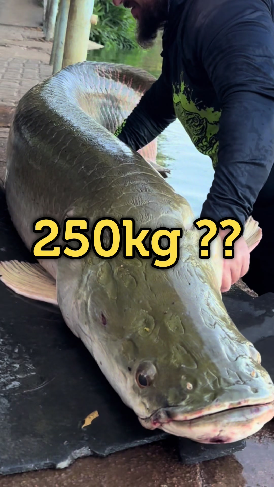 @Dimex Pescador