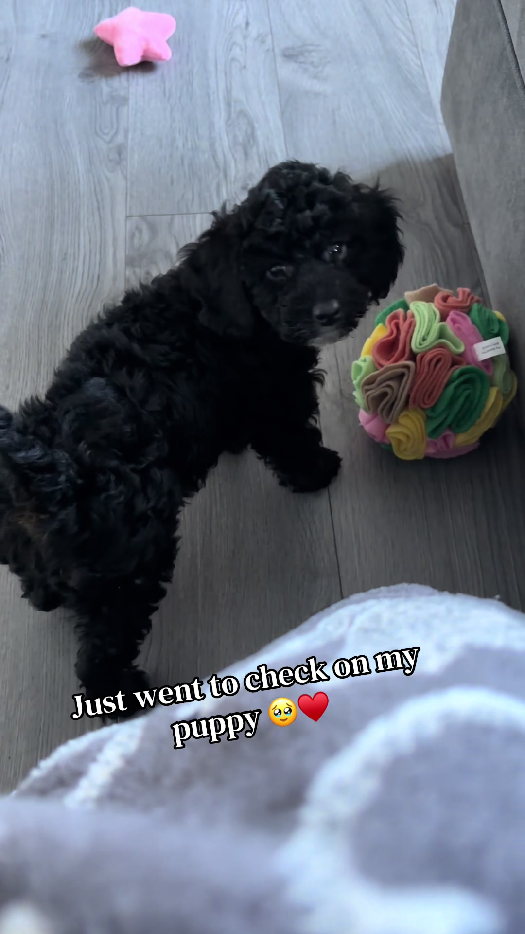 @Remembering RubyRoo 🤍🕊️