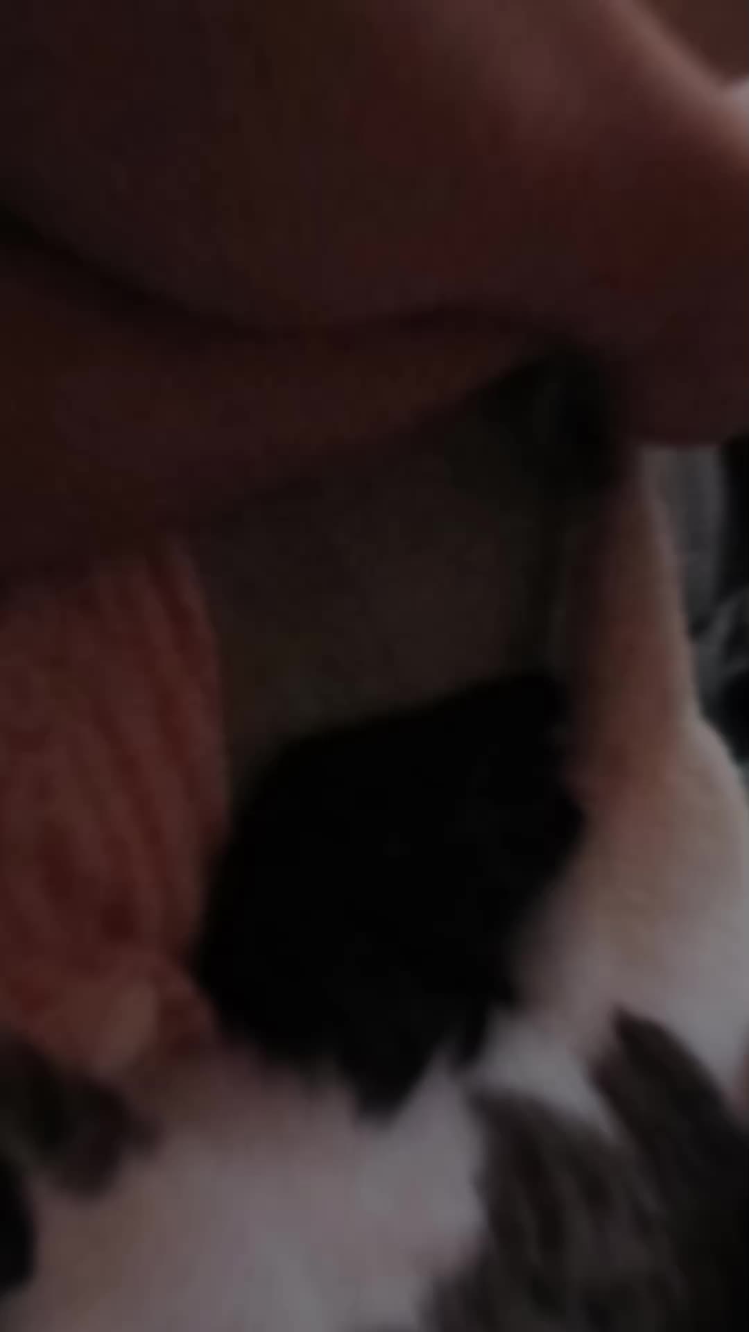 @ahornsirup