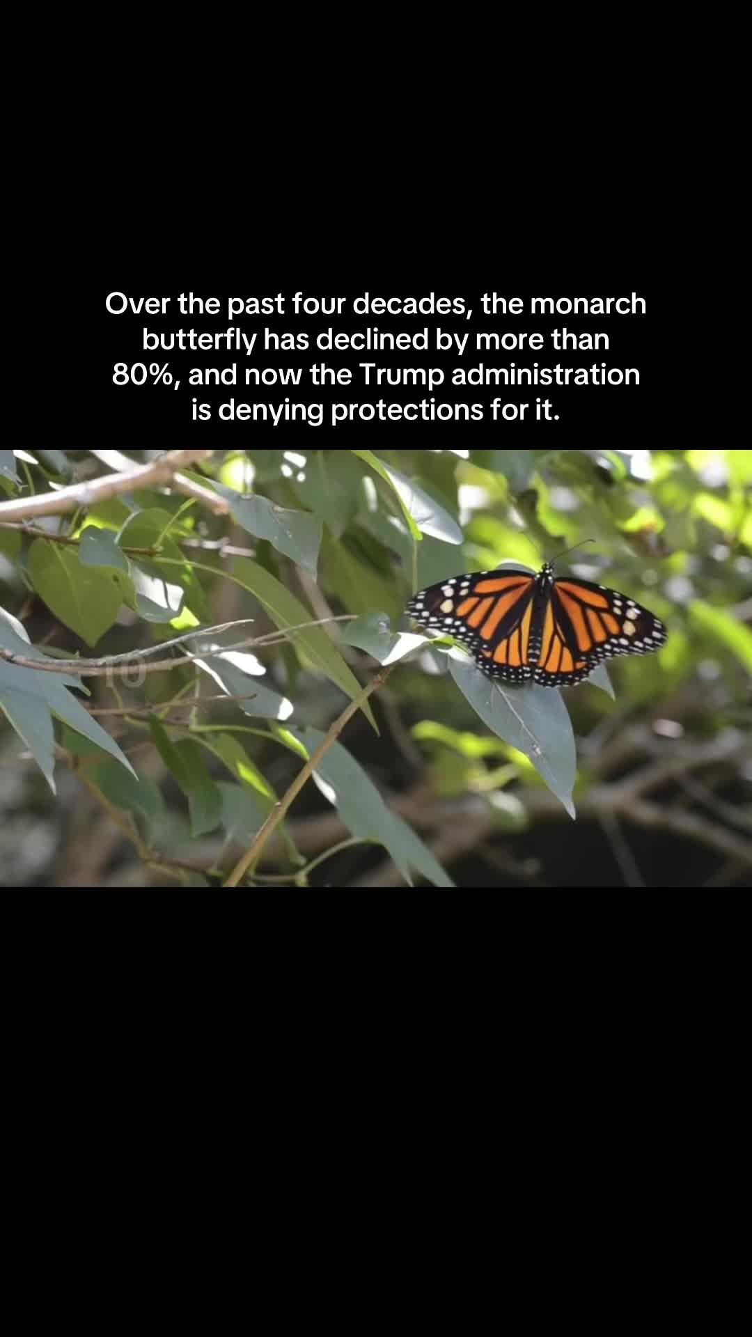 @environmentalist bro