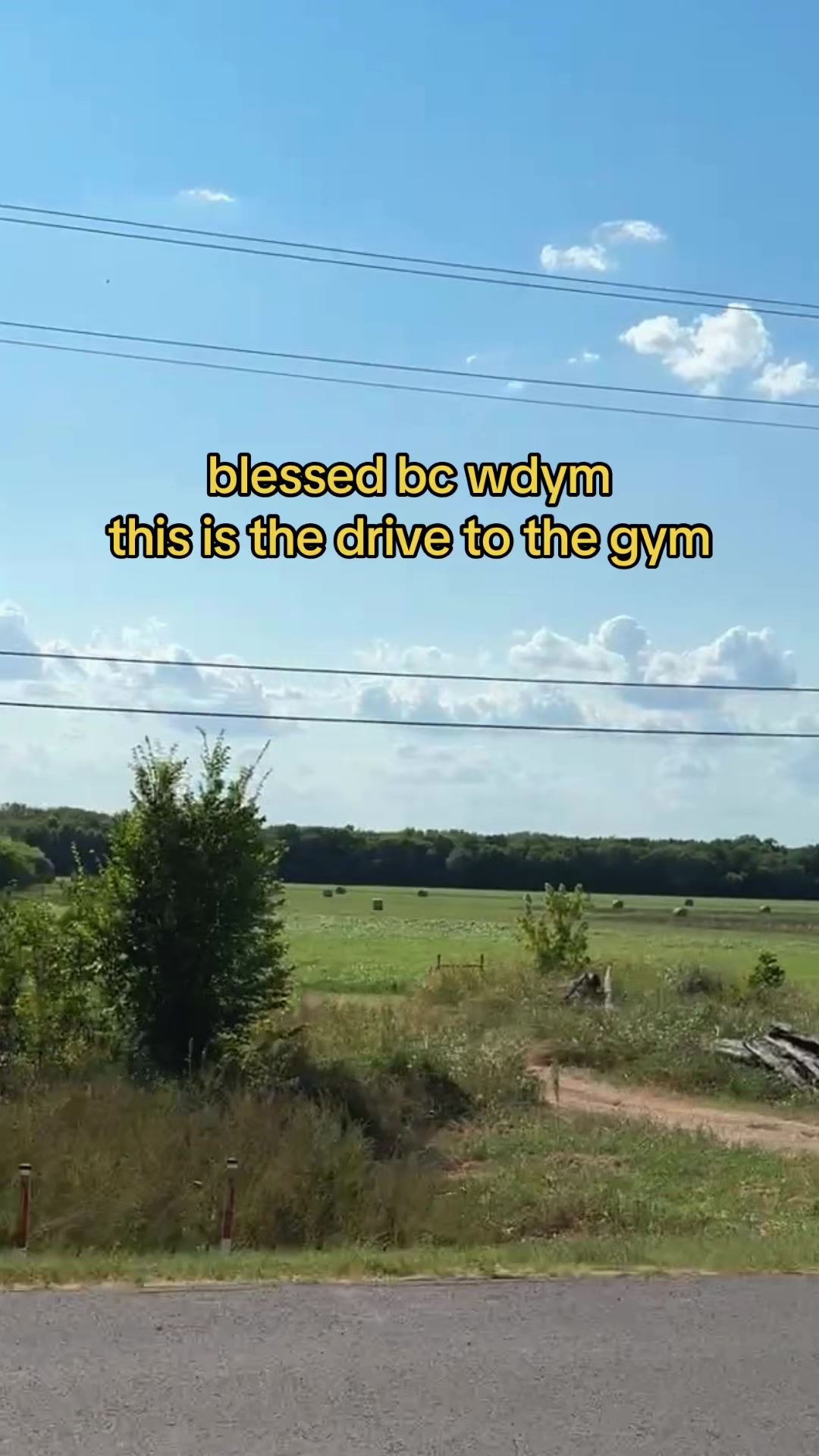 @Kate 🕊️🪩🤠