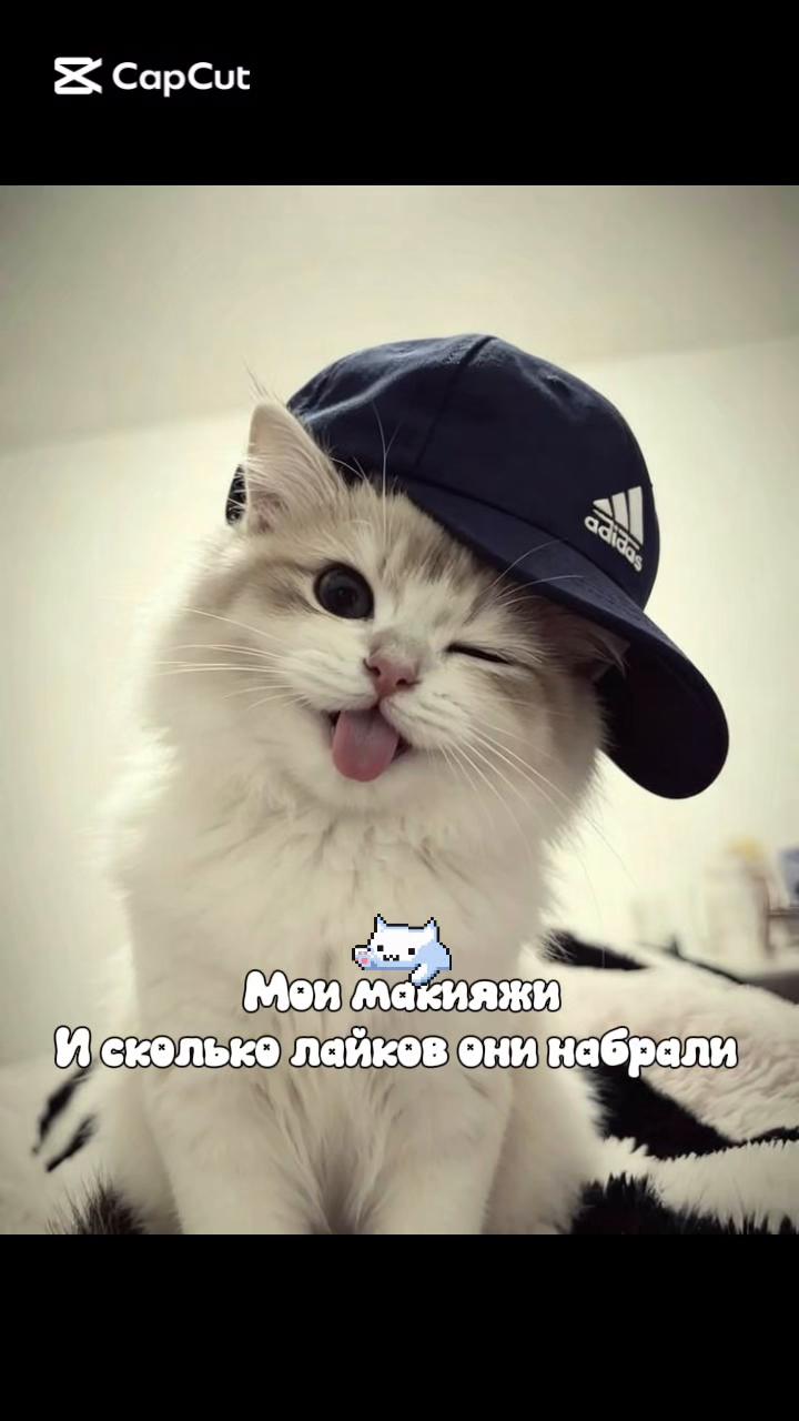 @Матовая киса🎀
