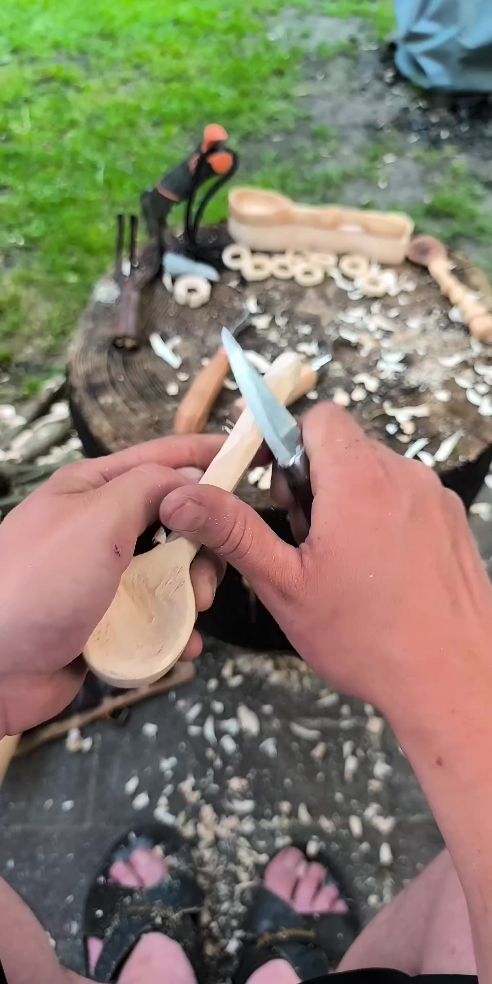 @DieSelbstvOrsorger