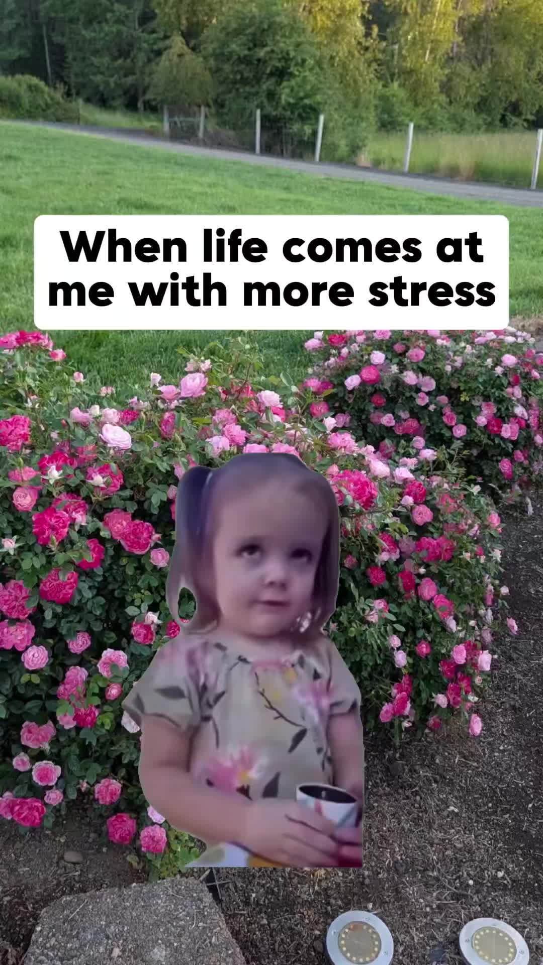 @Brian