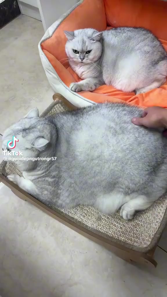 @ตุ้ม จันทาพูน