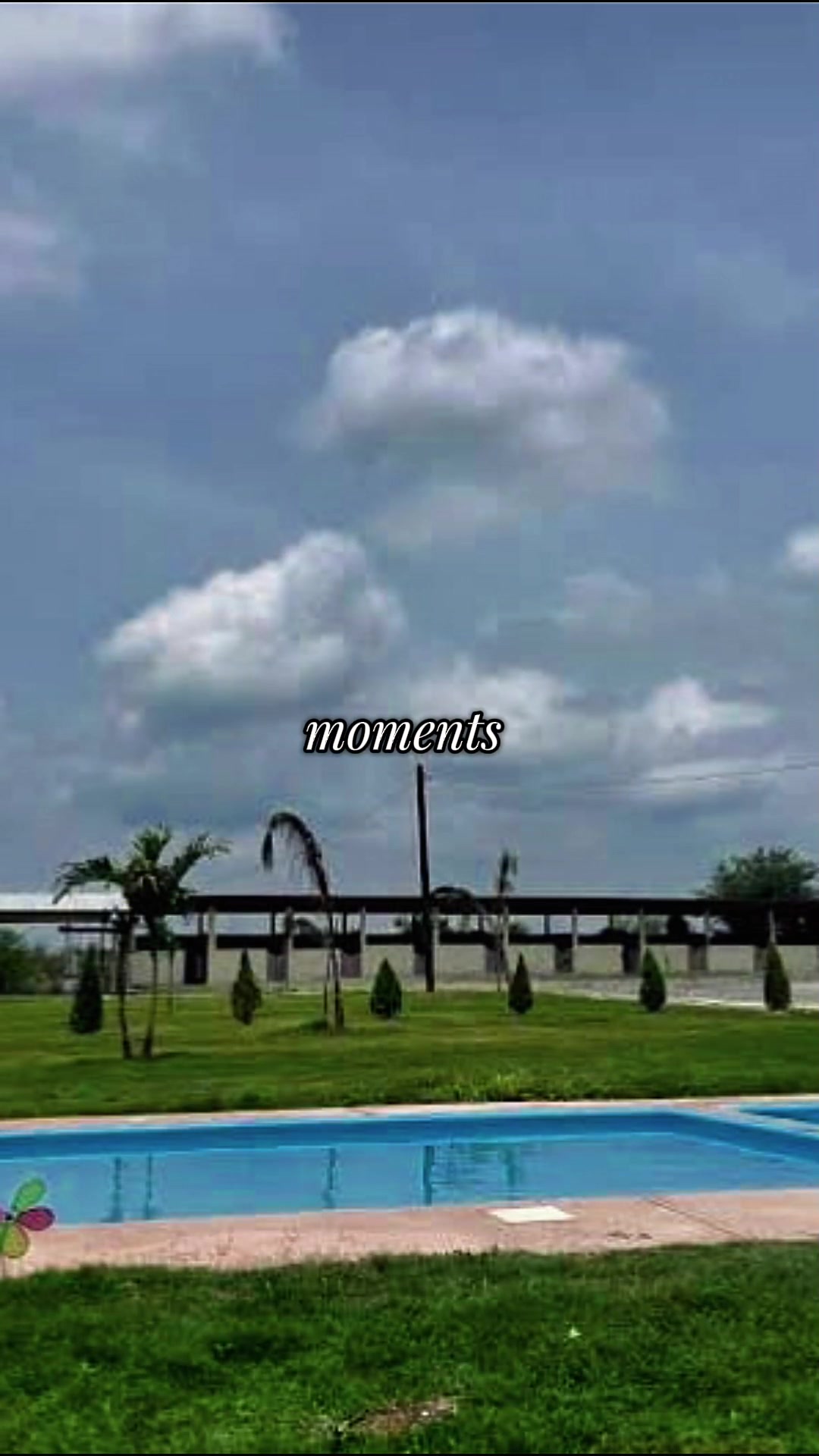 @wera trevi&ntilde;o