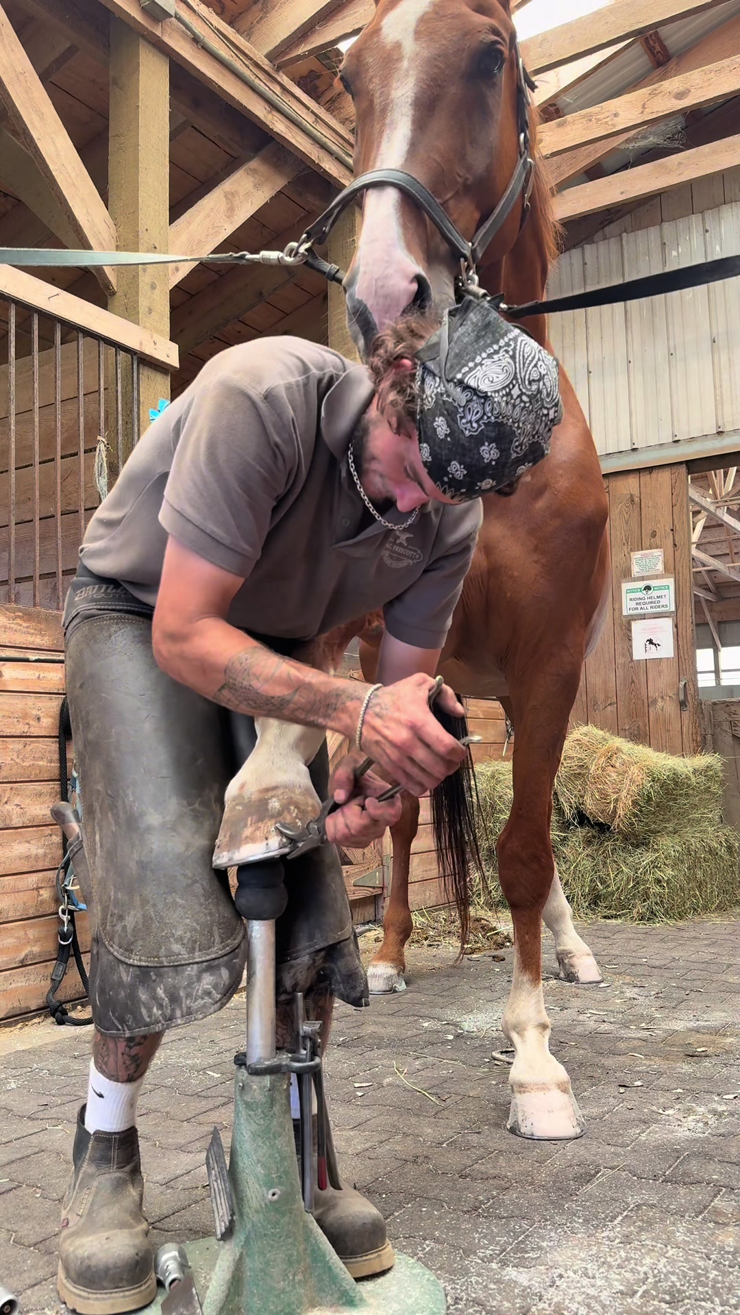 @jakethefarrier_