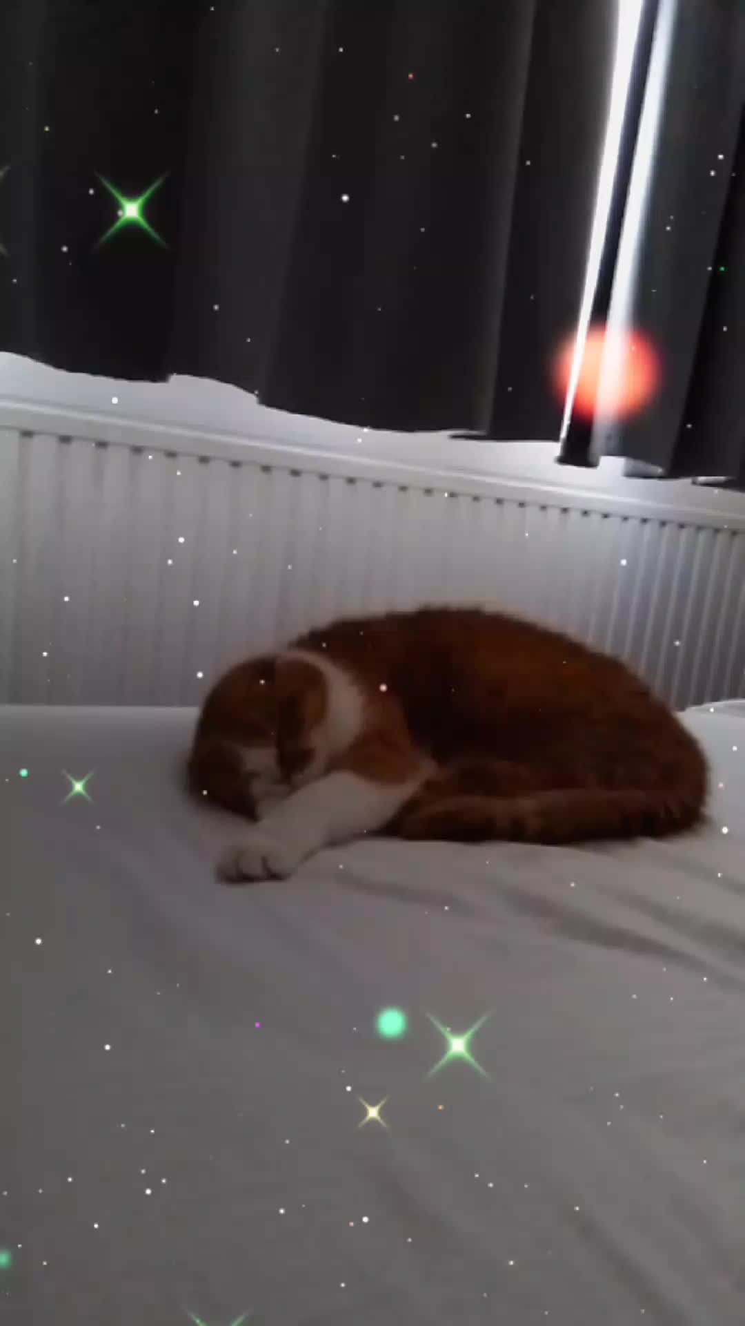 @Anneke & Simba