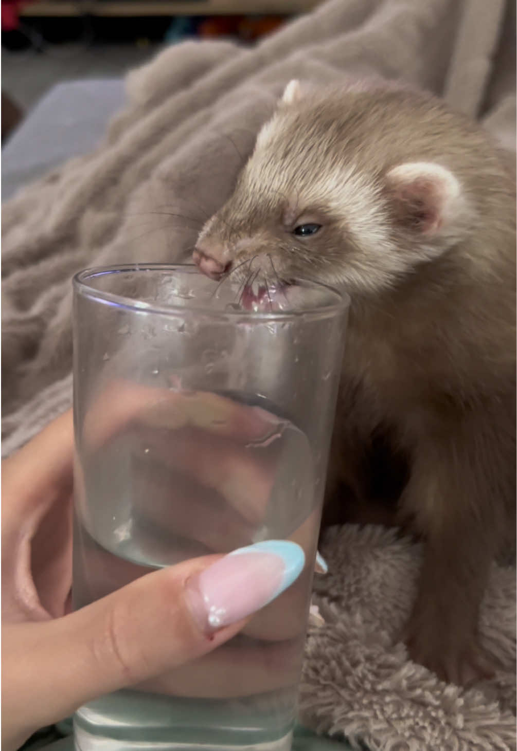 @Tsuki et Toka