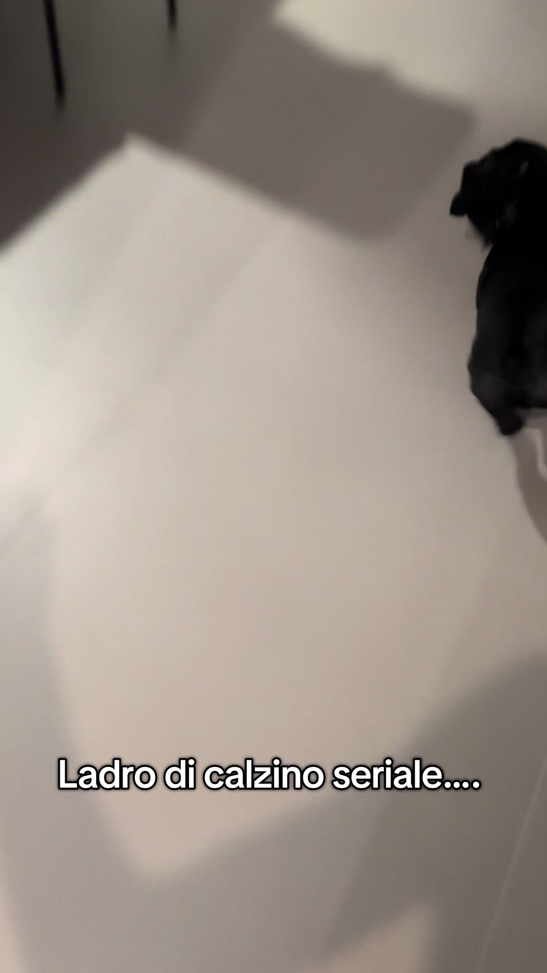 @Bullo_mal&ugrave;