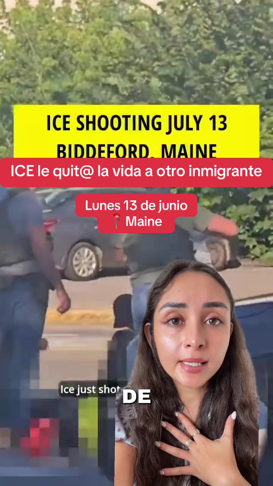 @dienerlawabogados