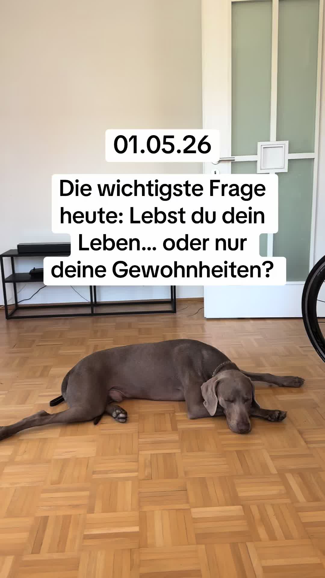 @numerologie_mit_kate