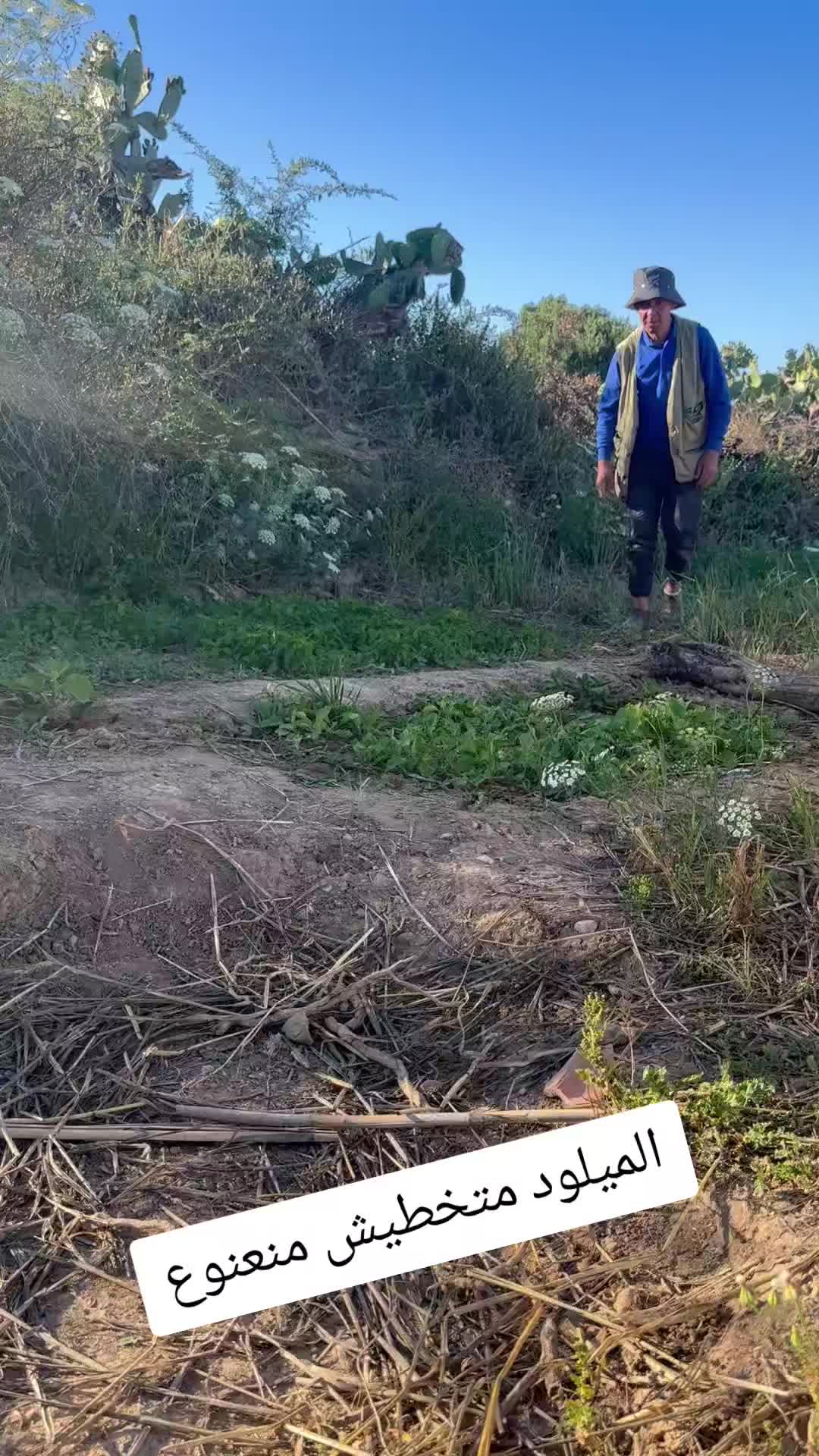 @الحاج نعنوع