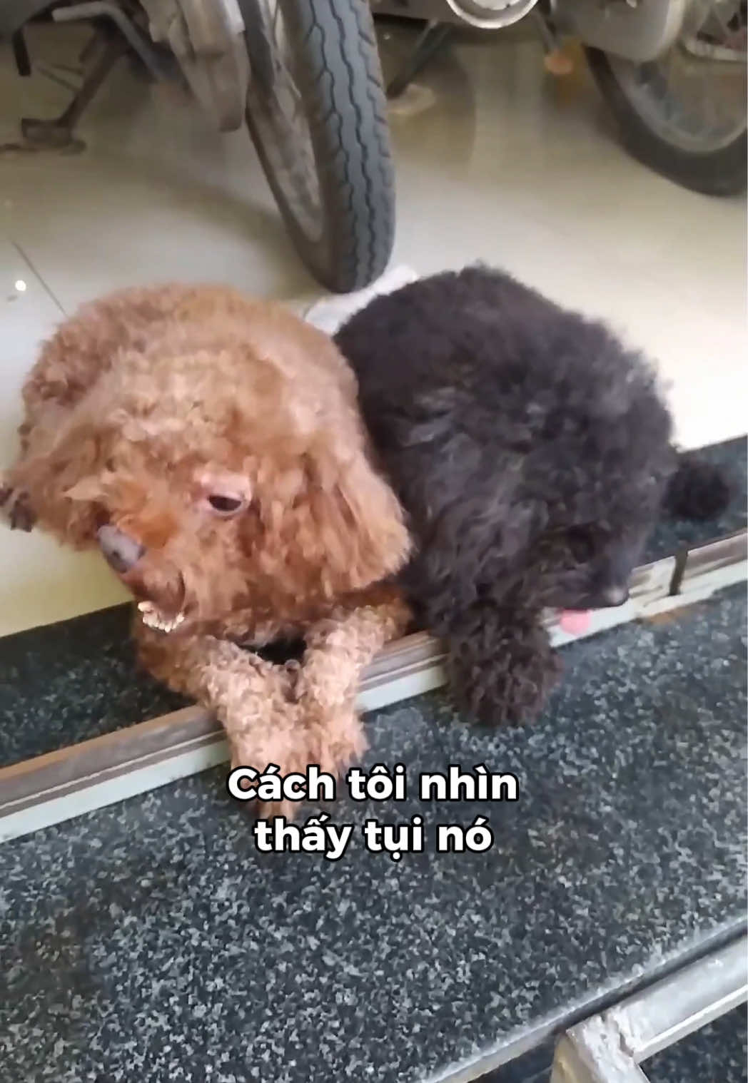 @Cái phòng nhỏ xíu