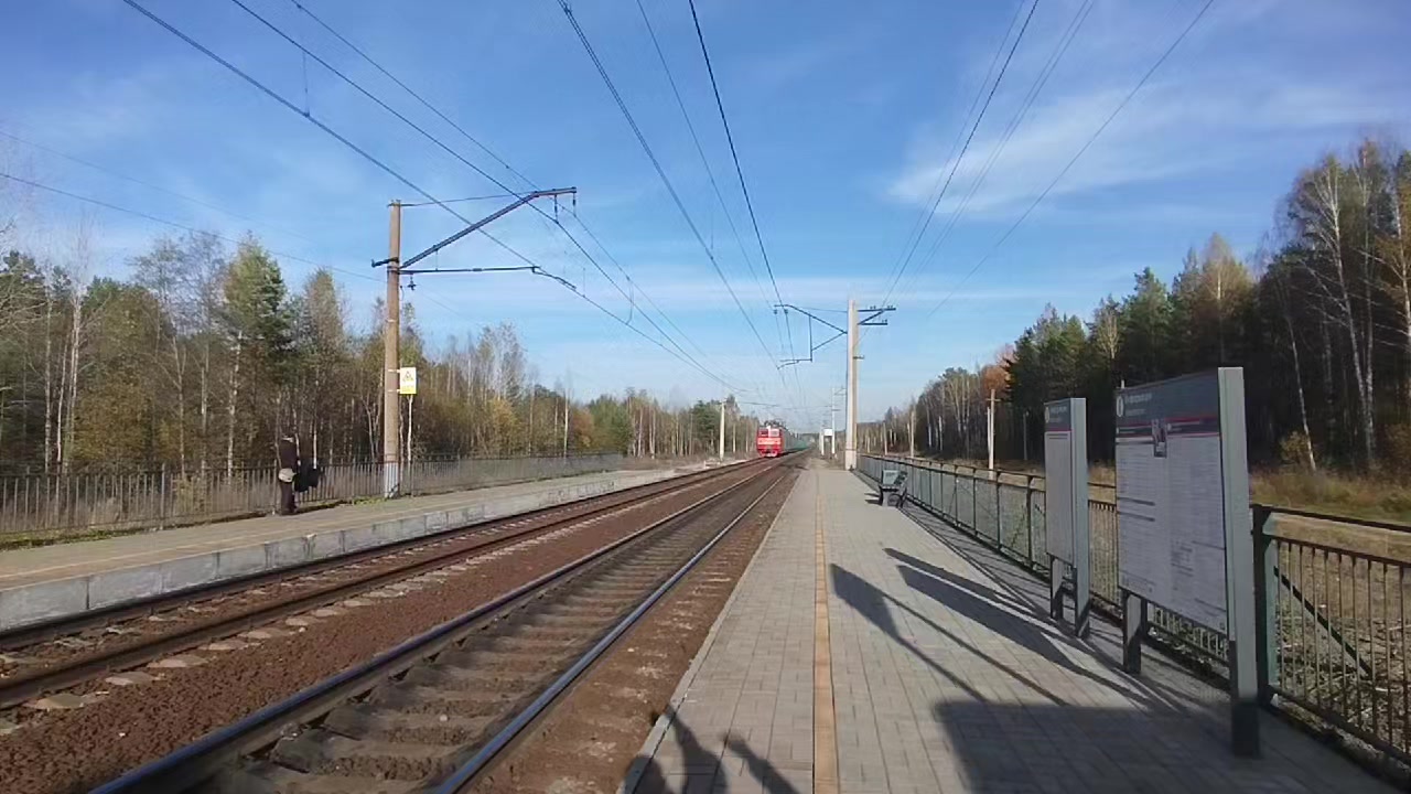 @shilux1
