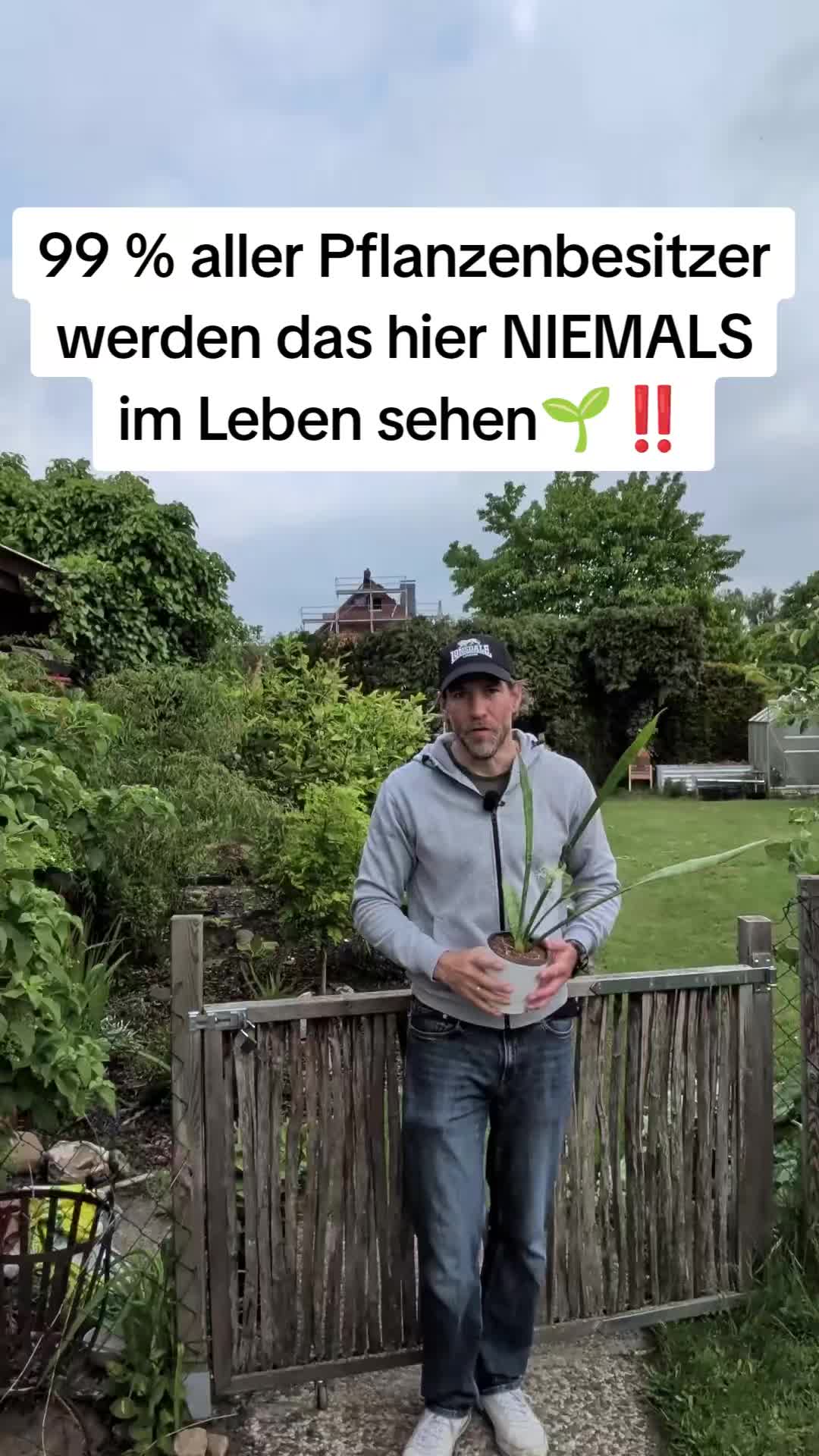 @the_handyman81