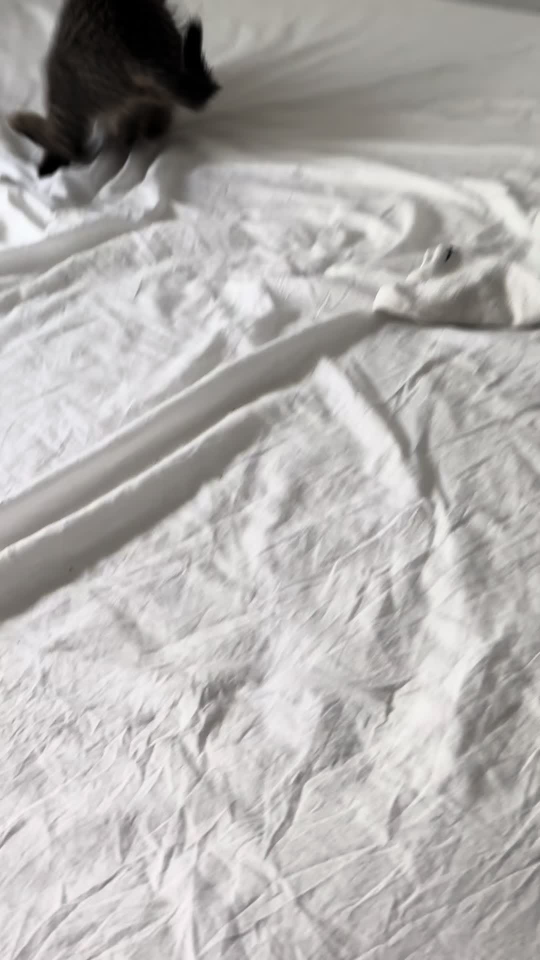 @tyga