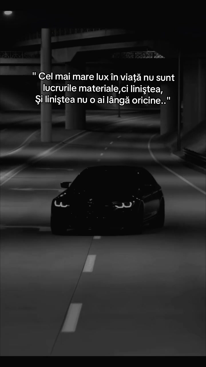 @α∂утzυ
