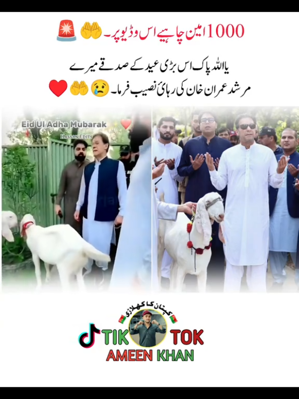 @Ali Hasnain Ahmad