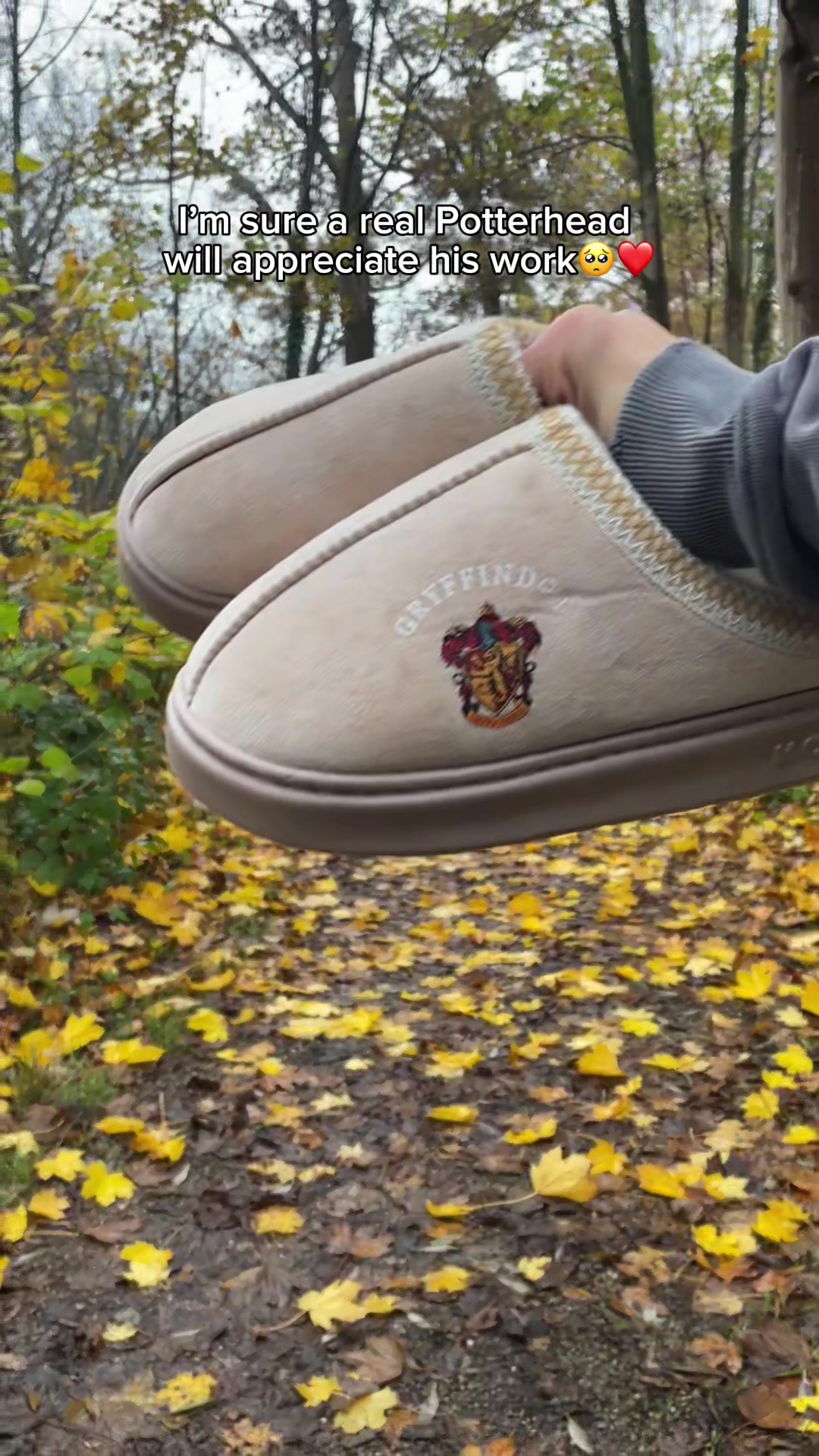 @PotterSlides