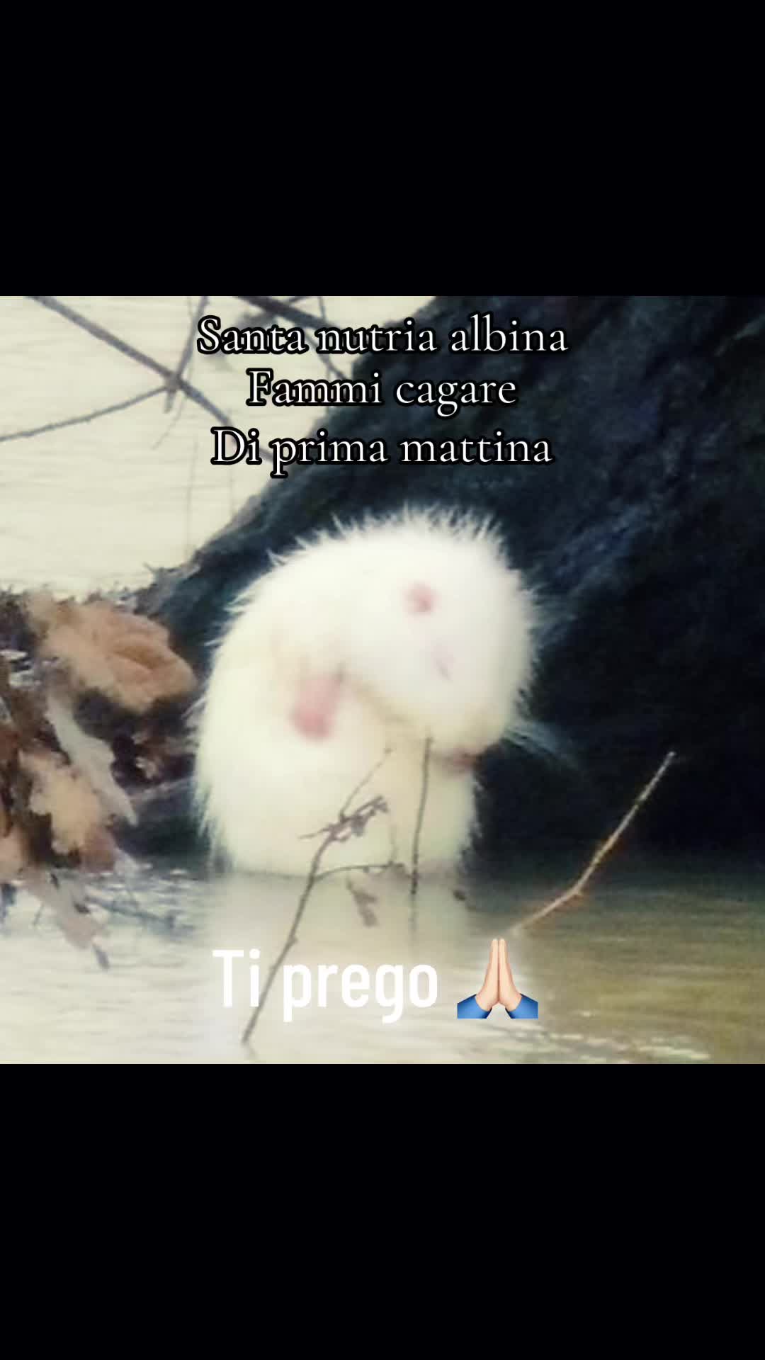 @Monica Magnani
