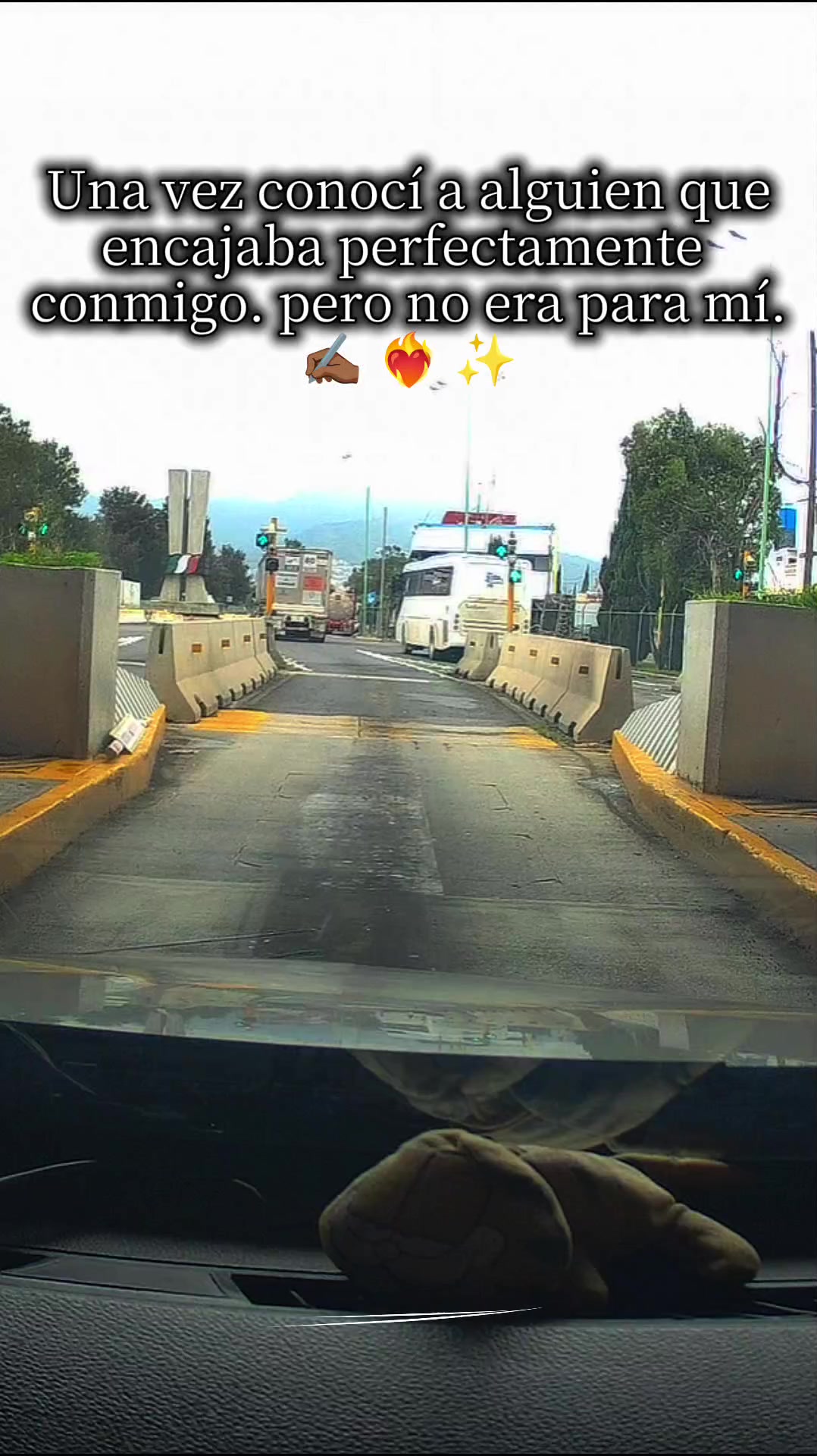 @osito alokadito 🙃🧸