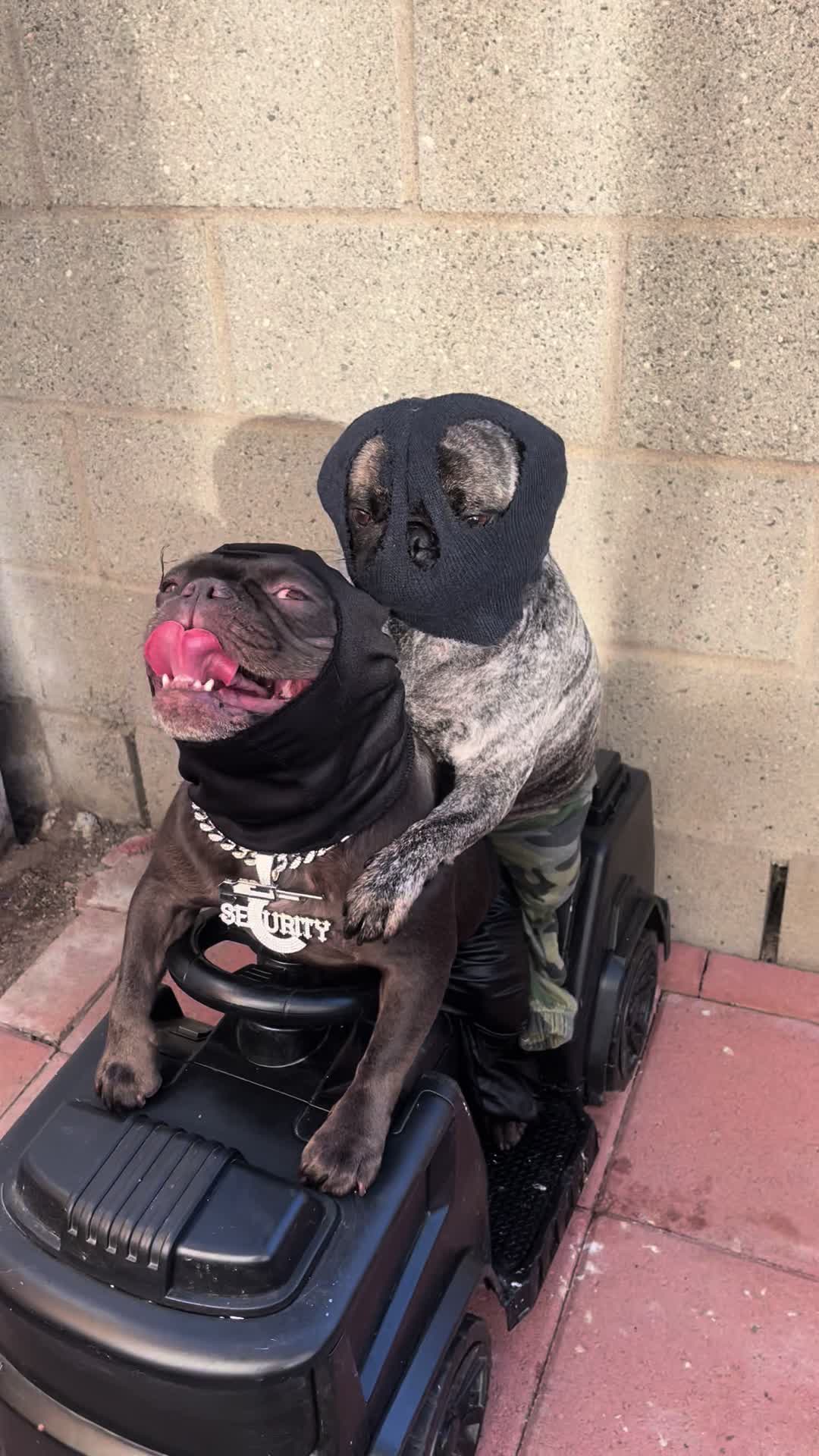 @𝕭𝖔𝖓𝖌𝖔