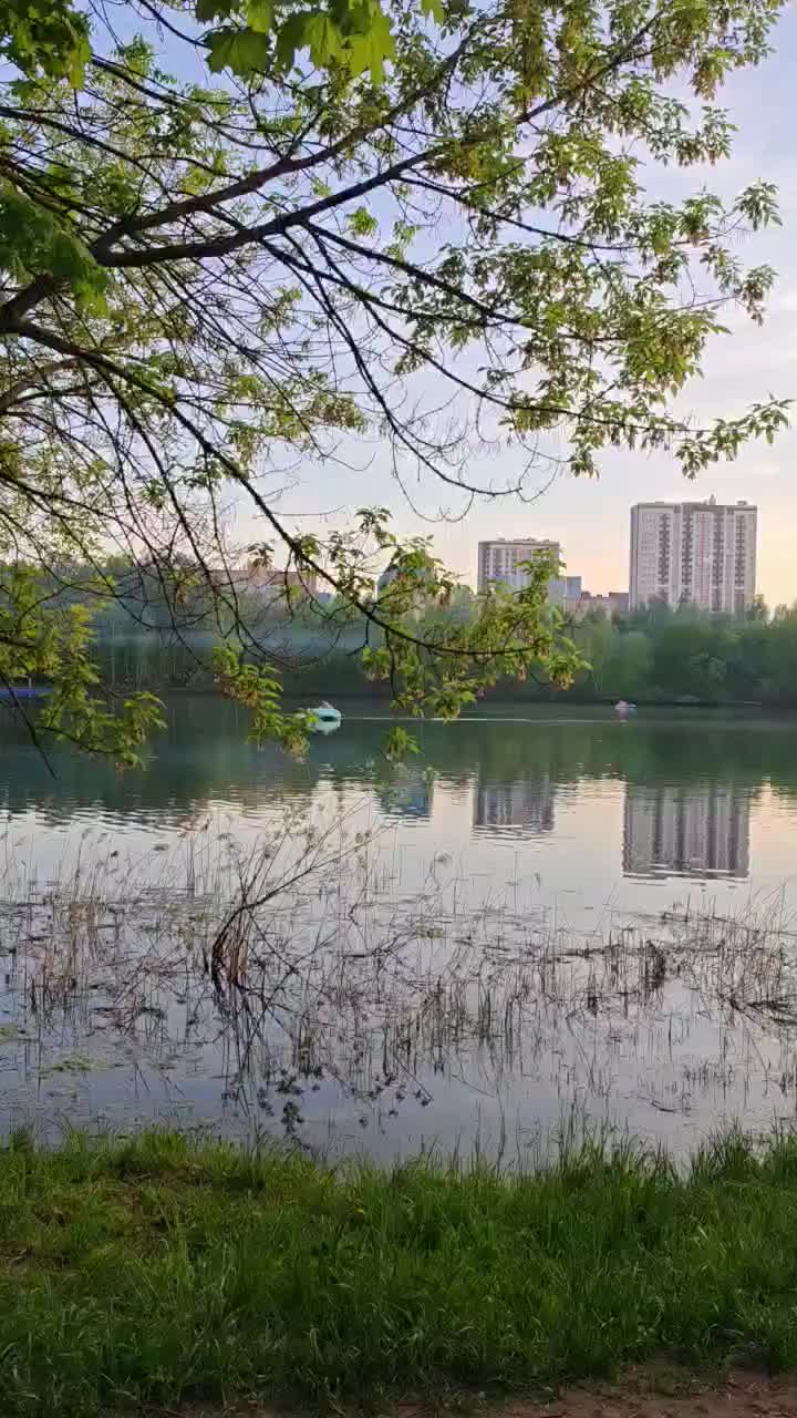 @Светик.