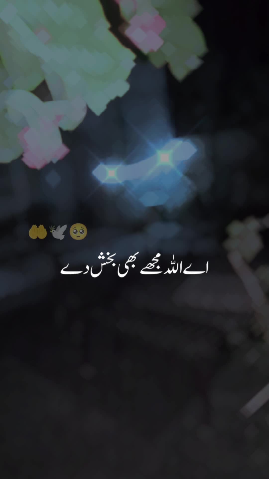 @BASHAOOR.