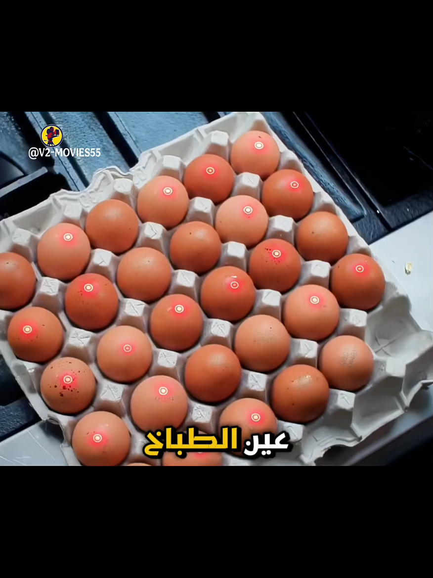 @V2-MOVIES55