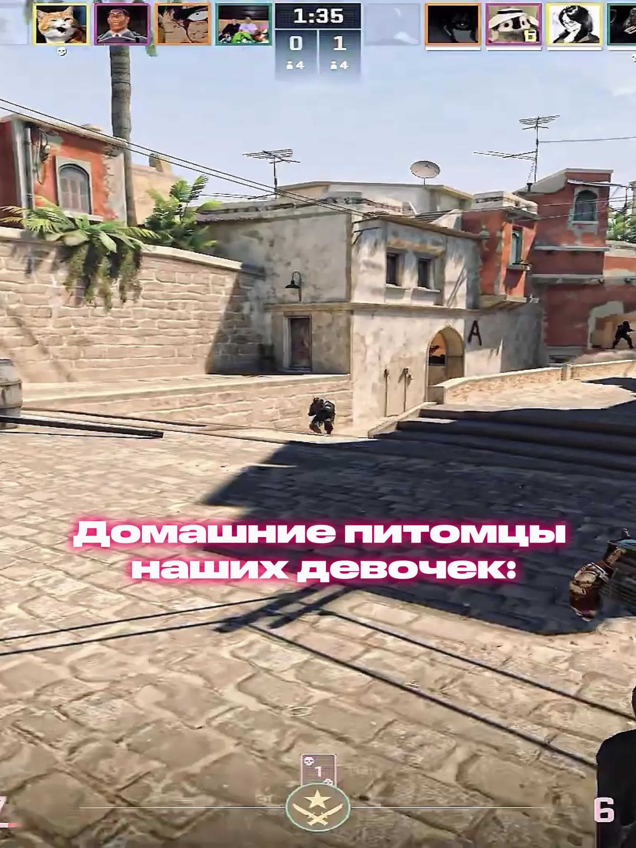 @тгк: karrpushha