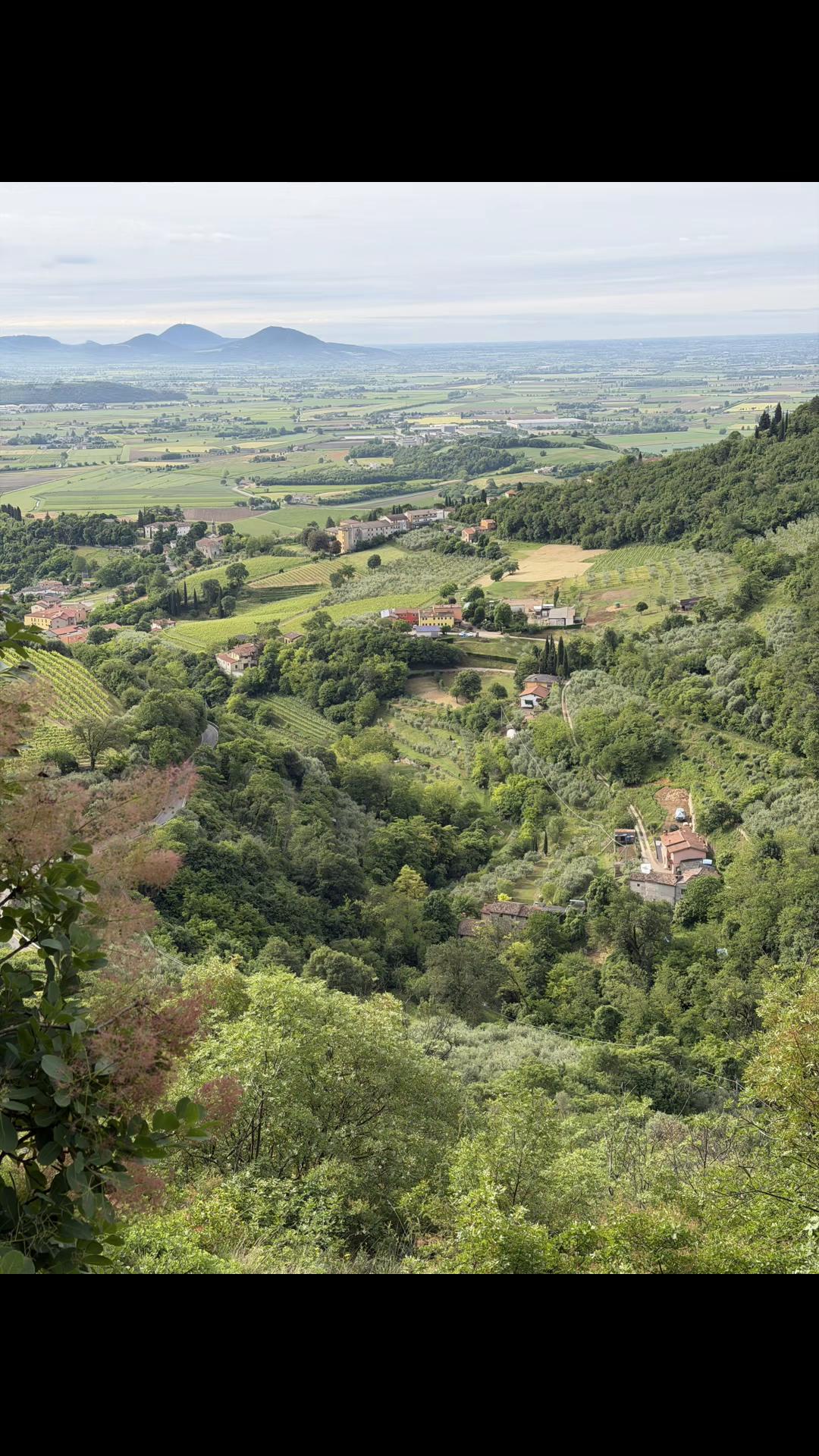@Mauro Fontana