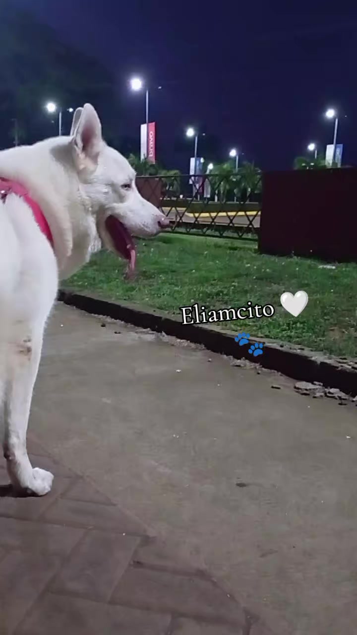 @Machita. 🦅